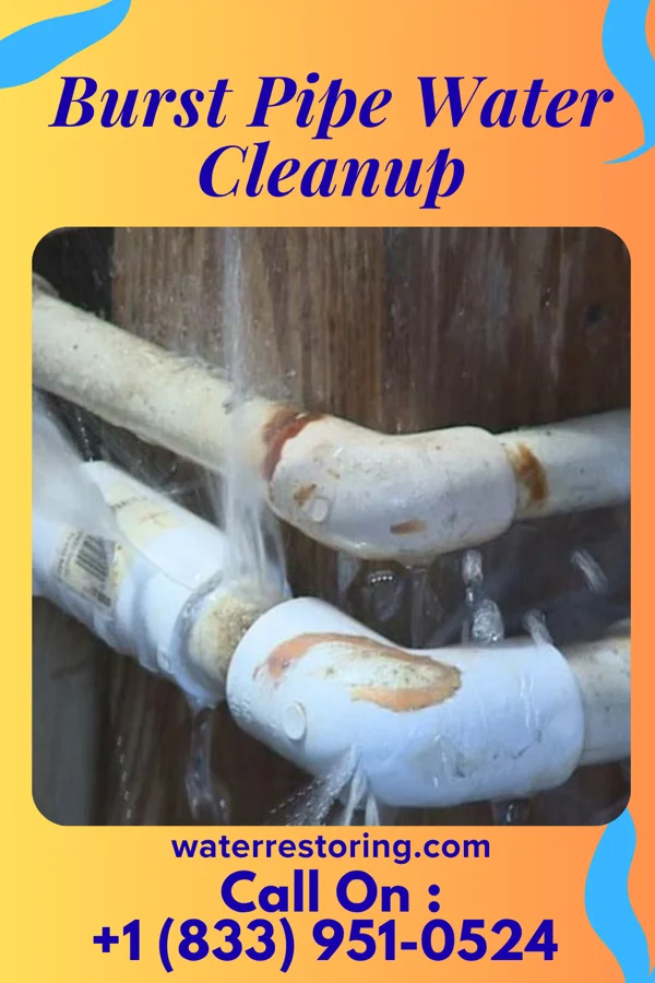 Burst Pipe Water Cleanup in Lake Koshkonong, WI