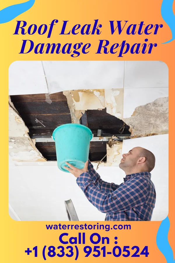 Roof Leak Water Damage Repair in Lake Koshkonong, WI