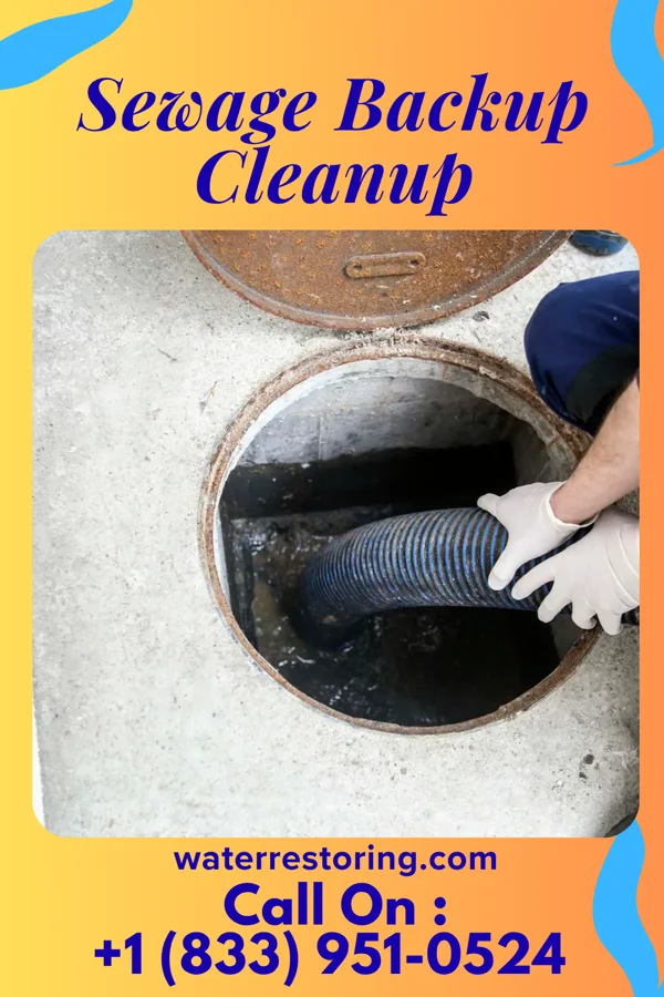 Sewage Backup Cleanup in Lake Koshkonong, WI